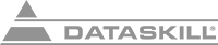 DataSkill Logo